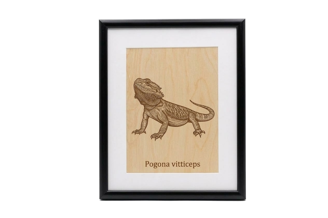 Drevený obraz Agama bradatá v čiernom ráme.